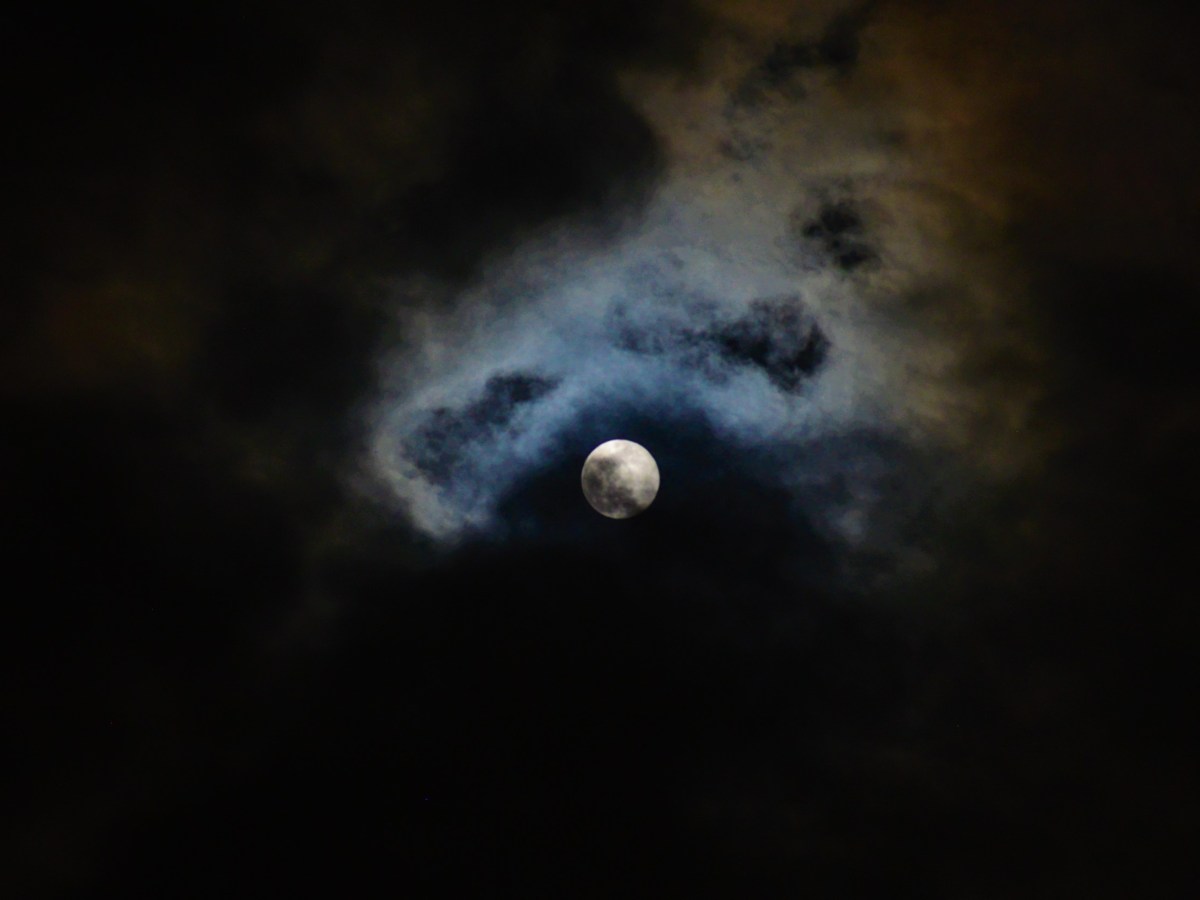 Late Nights in Bayamón NO.&nbsp;10