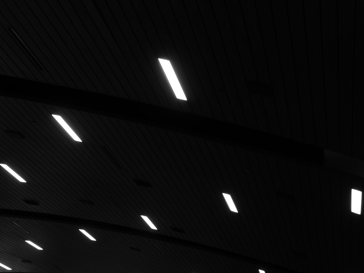 Visit to Puerto Rico No.&nbsp;12