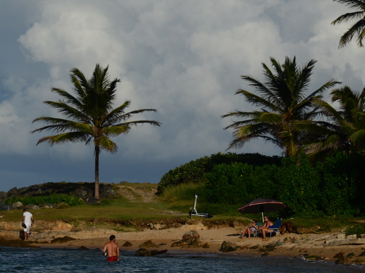 Visit to Puerto Rico No.&nbsp;8